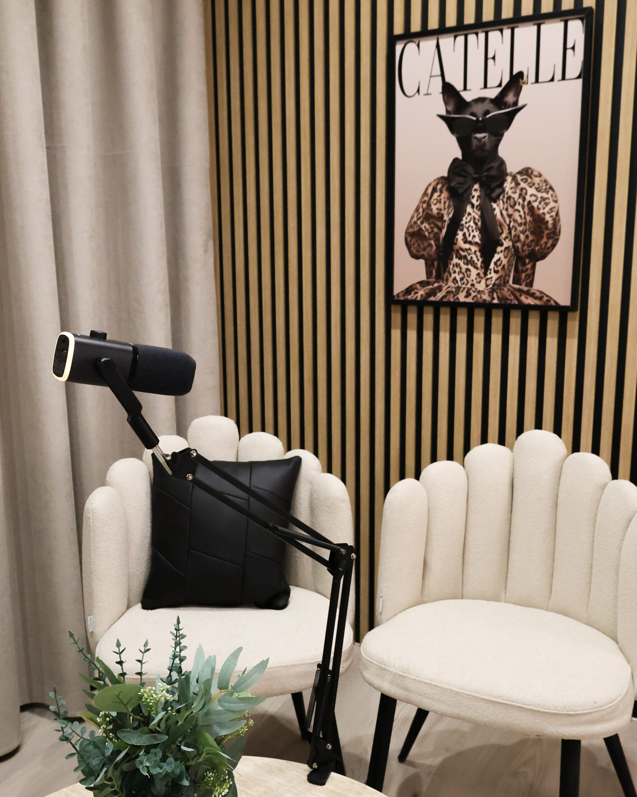 podcast 2